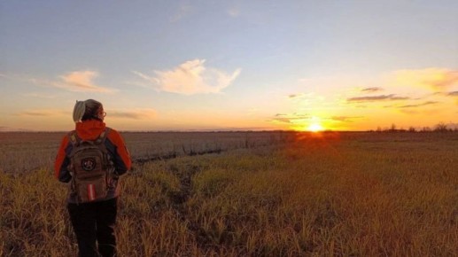 �� ������ 14 ��������� ���������� ����� ������