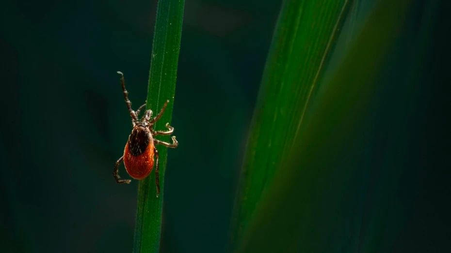 �� 2 ��� ����� �������� 23 ���������