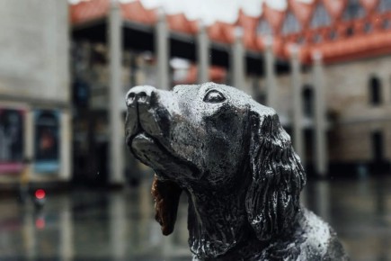 Особая красота дождливого Воронежа