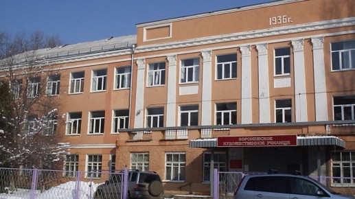 В Воронеже повторно объявили торги на капремонт художественного училища имени Николая Ге
