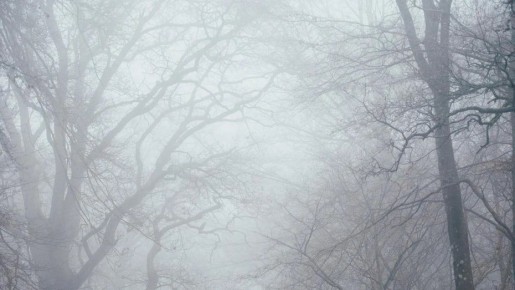 Местами по Воронежской области ожидается туман 15 и 16 апреля