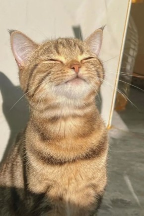 До +20 потеплеет в Воронежской области