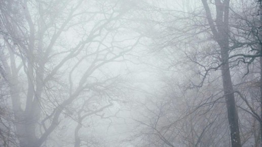 ���������� ������������ � ������ 15 � 16 ������