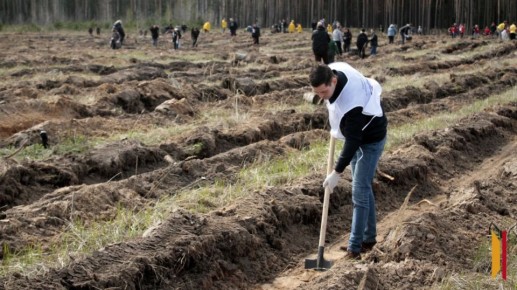 ��� ��������� � ������ ����� ���� ������ �������� 17 ��� �������� �����