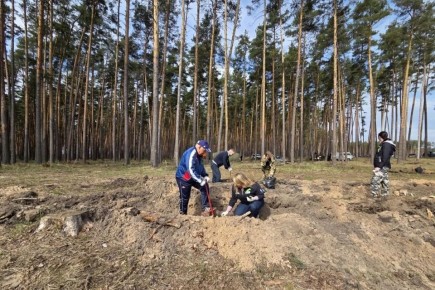 �������� ������������� ���������� ������� ������� � ����� ���� ������