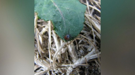 ���������� ������������ � ������ � �����������