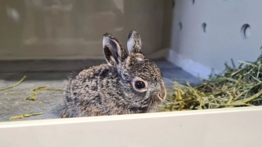 ������, ����, ����, ���� � ��������� � ����������� ��������� ����� �������� ������ ������������