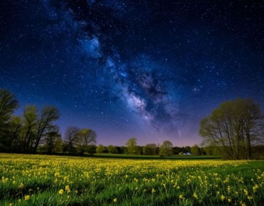 ��������� ������ ������� ������ ������ � ��������� ����� ������