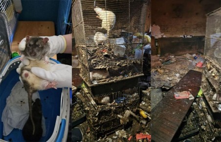 ��� ����� ����� ������� ���: ���������� � ������� �� ����� � ��������� 6,1 ����