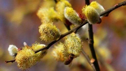 ����� ��������, ��� ������� ������ ����� ��������� �� ���� ���������, ������� ������ ����. ������������ ������� �� 19 ������ � ��������