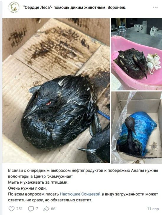 ����������� ��������� ��������� ������ � ������� ׸����� ���� �� ������