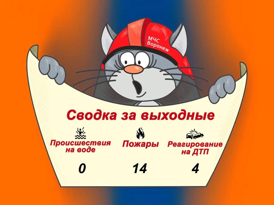 ����������� ������ �� ��������