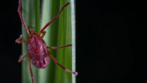 �� 5 ���� ����� �������� 78 ����������