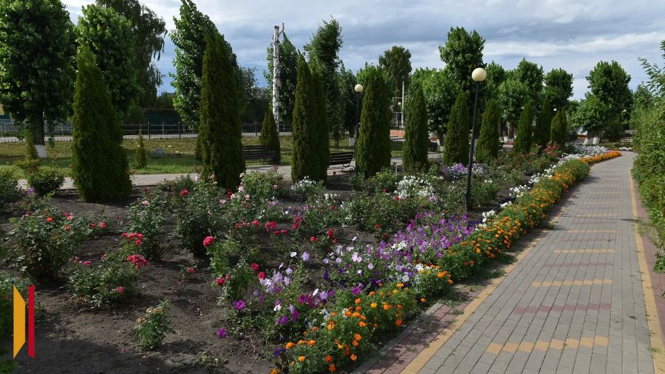 ���������� ����������� ������� ��������� ����� � ������������ ������� ���� ������� ���������� ���������� �������� �������������� � ���������������� ����������