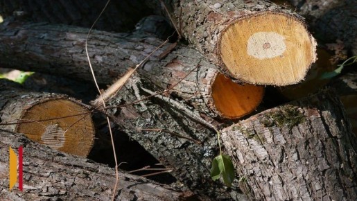 � ������������� ������ ����������� �������� ������� 32 ������� ����: ����� �������� ����� 5 ��� ������