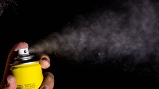 � ������ �������� ������� ��������� �������� ��������� � ���� ����� ��������: �����