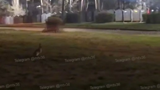 � ����� ������� � �������� ������� ����-���������: �����