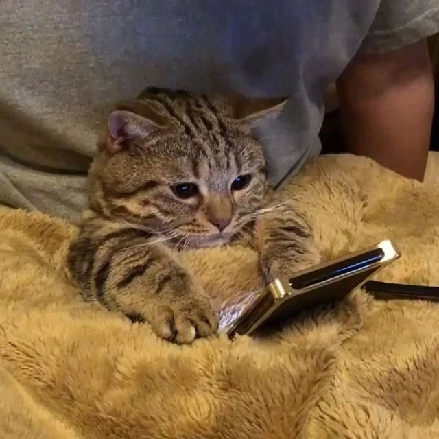 ���� �� ������������� ����� �������, �� ���� ��� ����� �� 20%