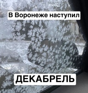 ���� � ����� ������ ������? � �� �����