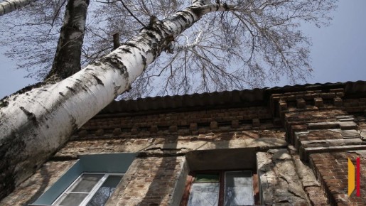 ������� ����� �� ����� ������� 11 �������� � ��������