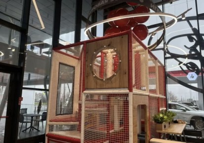 ������������������� ���� ��������� �������: ��� � �������� �� ���������� �������