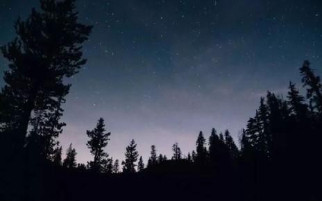 ������ ���� ���������� � �������� ��������� ����� � ���� ��� ����� �������� � ����� �������� ����������� �������