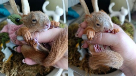 � ����������� ����� � ������ ������ ���� �������� �� ������ �������