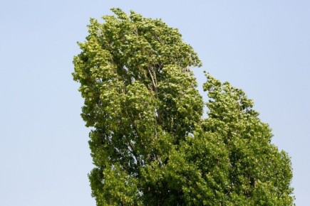 ��������� ������� �������� ��������� ��-�� ����� �������� � ����������� �������