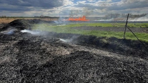 � ��������������� ���� ��������� ������� ����� �� ������� ����� � 1 �� � ���������� 2 ������������