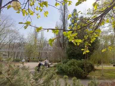 ����� ��������, ����� ����� ������ 1 ��� � ����������� �������