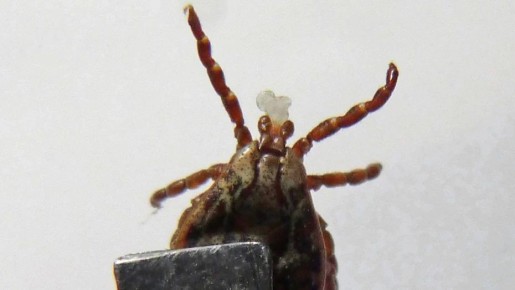 �� ������ ����� �������� 140 ����������