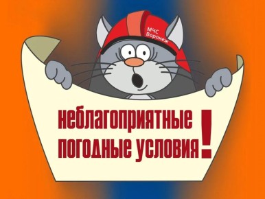 �� ������������ ������ �� ����������������� � ����������� ���������� ����� ������� ���������������� ������ � ��������������� �������� ���������: