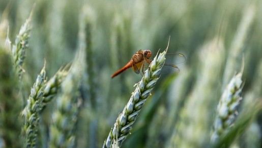 ����������: �������� ����� ������� �������� ������ � ������