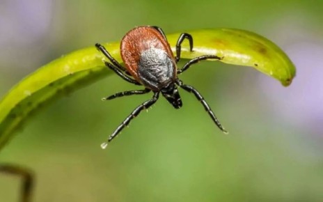 � ����������� ������� �� ������ ����� ��������� �� ���������� ����� ������ ������ ������� ����� ��� �� 70%