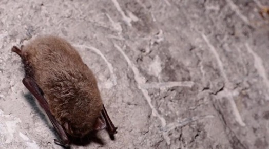 ����������� �������� ��������� �� ������ ������� �����