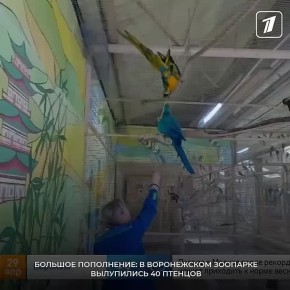 � ����������� �������� ��������� �� ���� 40 ������� ��������