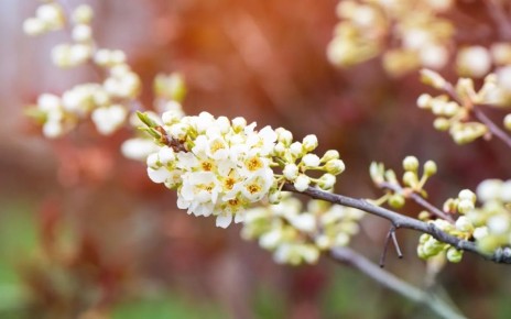 ������ ������� ��������� � ��� �� ������ ������� � ������