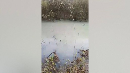 � �������� ���� � �������� ����������� ���������� ���������������� �������