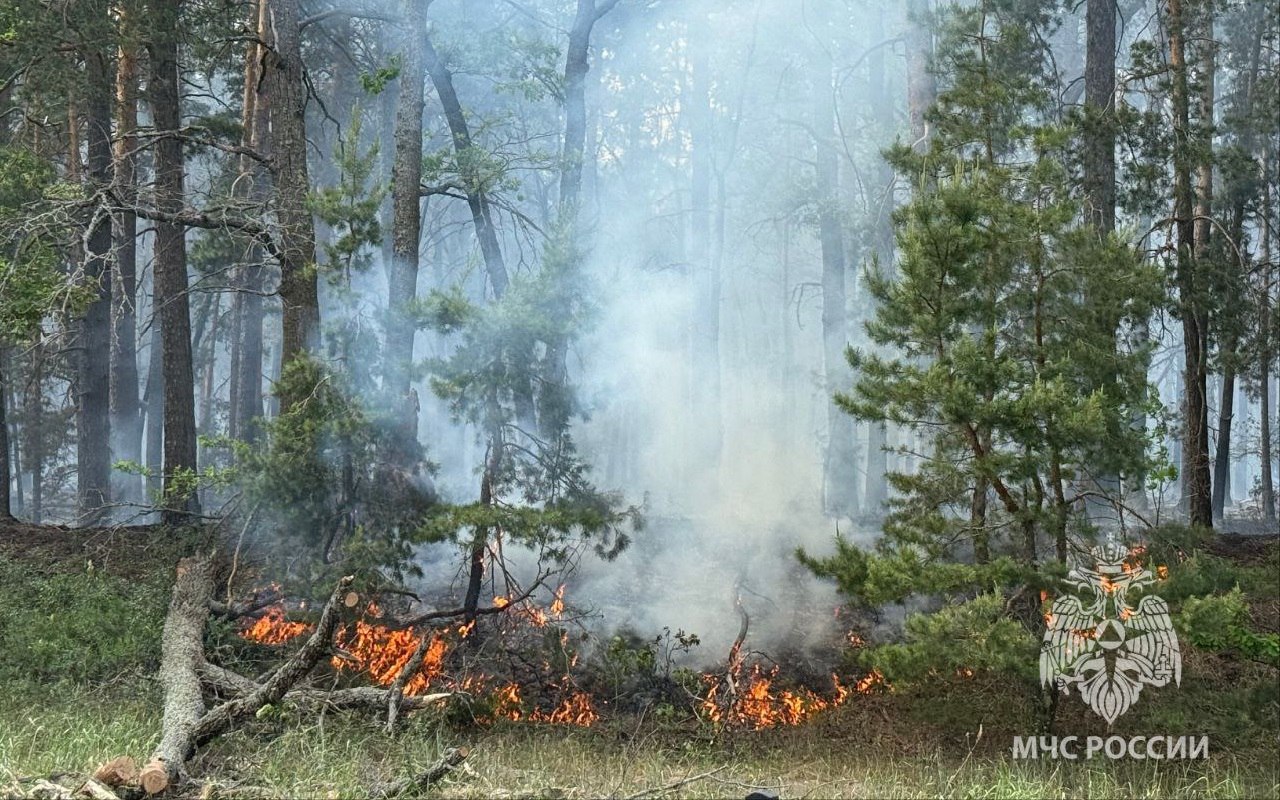 IV класс пожарной опасности установили на всей территории Воронежской области