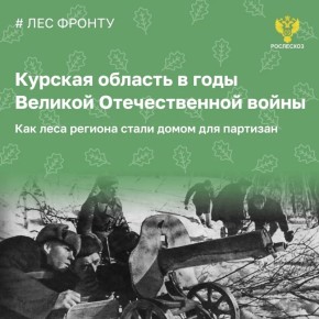 После оккупации Дмитриевского и Михайловского районов Курской области во время Великой Отечественной войны леса стали укрытием для людей