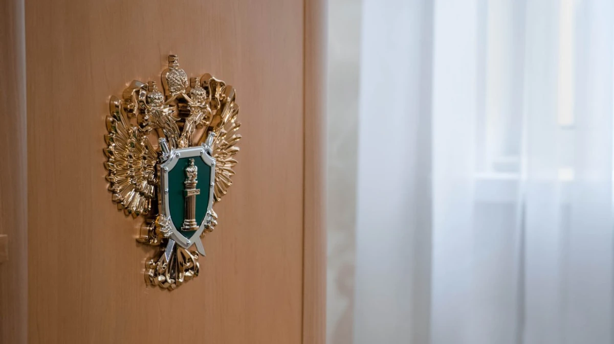 Прокуратура организовала проверку после падения 9-летней девочки с оборвавшихся качелей в Воронеже