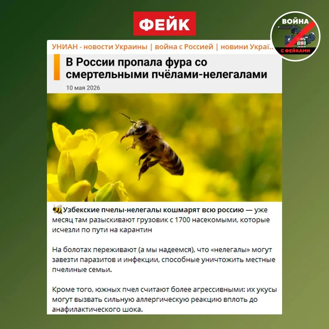 Новость про исчезновение фур со смертельными пчелами-нелегалами оказалась фейком