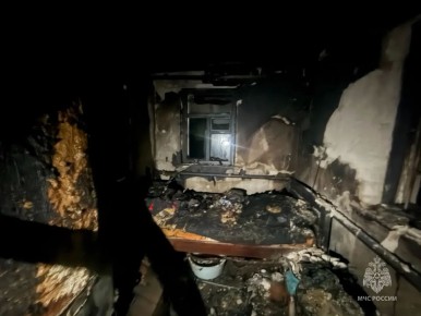 На пожаре в Воронежской области погиб мужчина