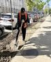 Продолжаем восстанавливать газоны