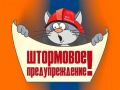 От Воронежского центра по гидрометеорологии и мониторингу окружающей среды получено «Штормпредупреждение»: