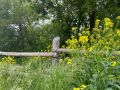 Содержание дачи в Воронеже: из чего складываются тарифы и почему растут взносы
