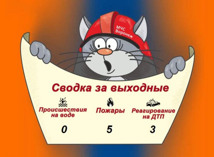 Оперативная сводка за выходные