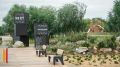 На Петровской набережной в Воронеже высадят 30 серебристых елей