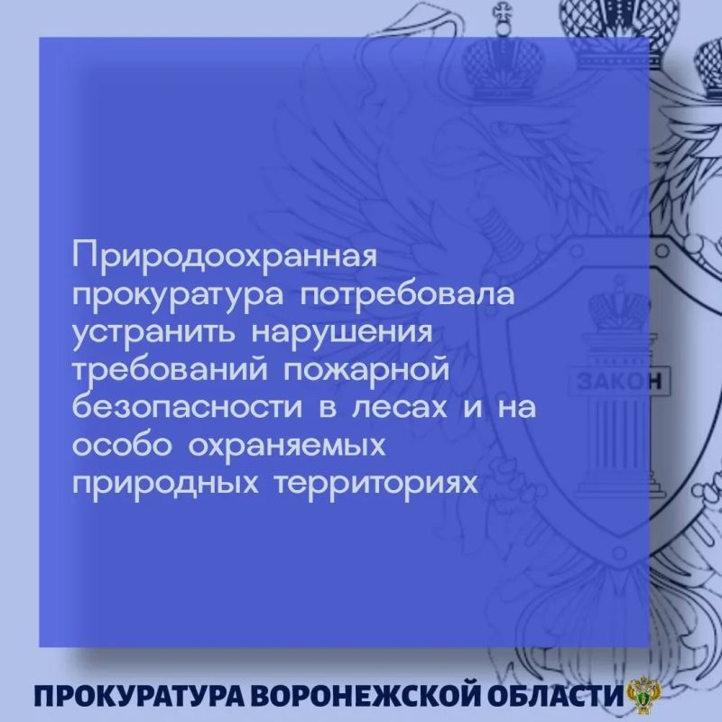 Воронежской межрайонной природоохранной прокуратурой c привлечением специалистов МЧС, Росприроднадзора проведена проверка соблюдения законодательства при обеспечении пожарной безопасности в лесах и на особо охраняемых...