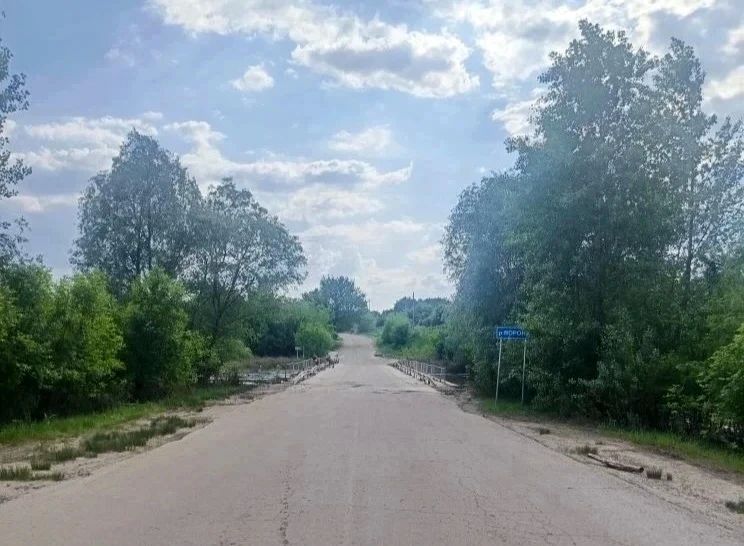 В Грибановском районе открыли движение по мосту через реку Ворона